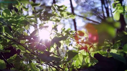 From Survivor to Healer Episode 14 English SUB