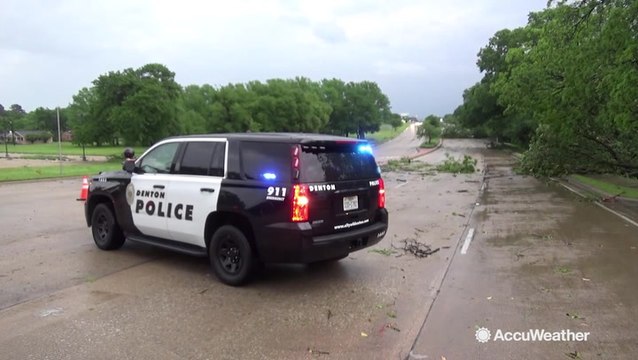 Storms leave trail of damage and downed trees