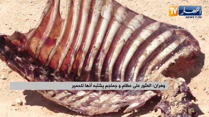 وهران: العثور على عظام وجماجم يشتبه أنها للحمير