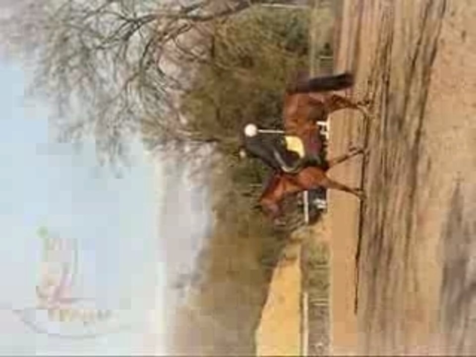 Kiss me Baby montage2