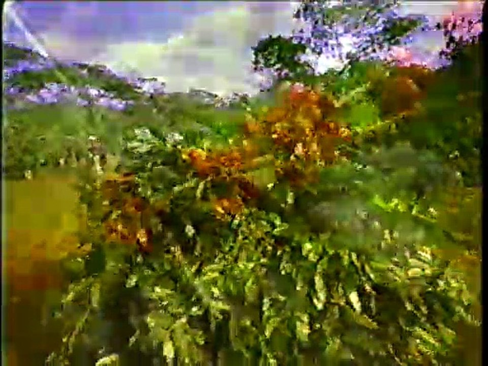 COMERCIALES MÉXICO 1997 (4)