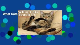 What Cats Teach Us Calendar