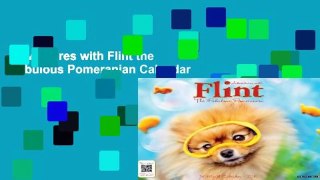 Adventures with Flint the Fabulous Pomeranian Calendar