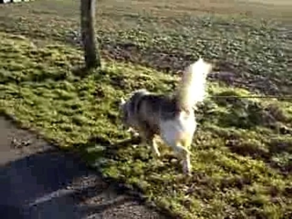 Titeuf vidéo janv 08