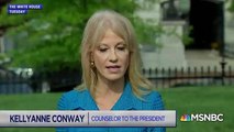 MSNBC Host Says Kellyanne Conway Allegedly Broke Law By Talking About Joe Biden
