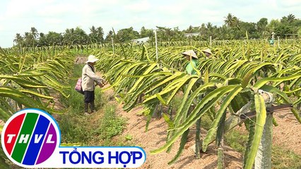 THVL | Nông thôn ngày nay: Diện mạo mới của những vùng căn cứ kháng chiến xưa