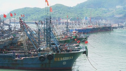 China starts summer-long annual fishing ban in coastal waters