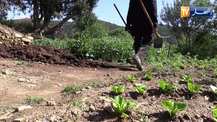 تيسمسيلت: التراث المادي في منطقة الونشريس.. مضايقات تطال حرفييه