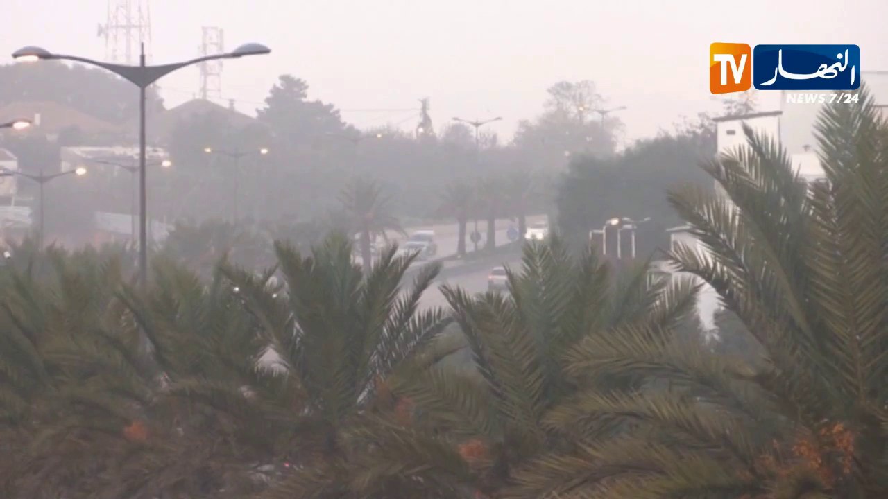 طقس: سقوط أمطار رعدية غزيرة على المناطق الشمالي...