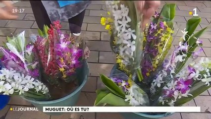 1er mai : muguet, où es-tu ?