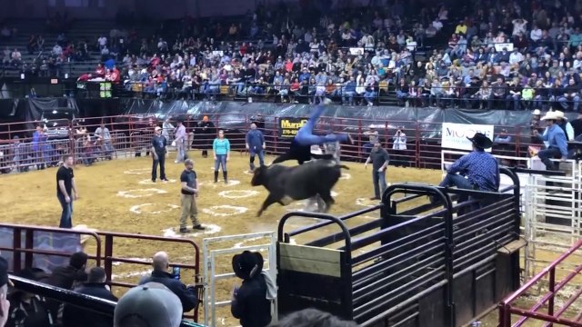 Un taureau éjecte des personnes à l'aide de ses cornes