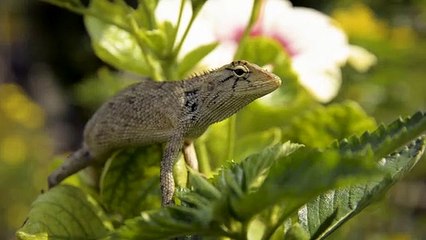 삼삼카지노 바로가기 ▶  yong79。com 카지노주소 ぢぐ콘셉트