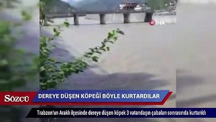 Dereye düşen köpeği böyle kurtardılar