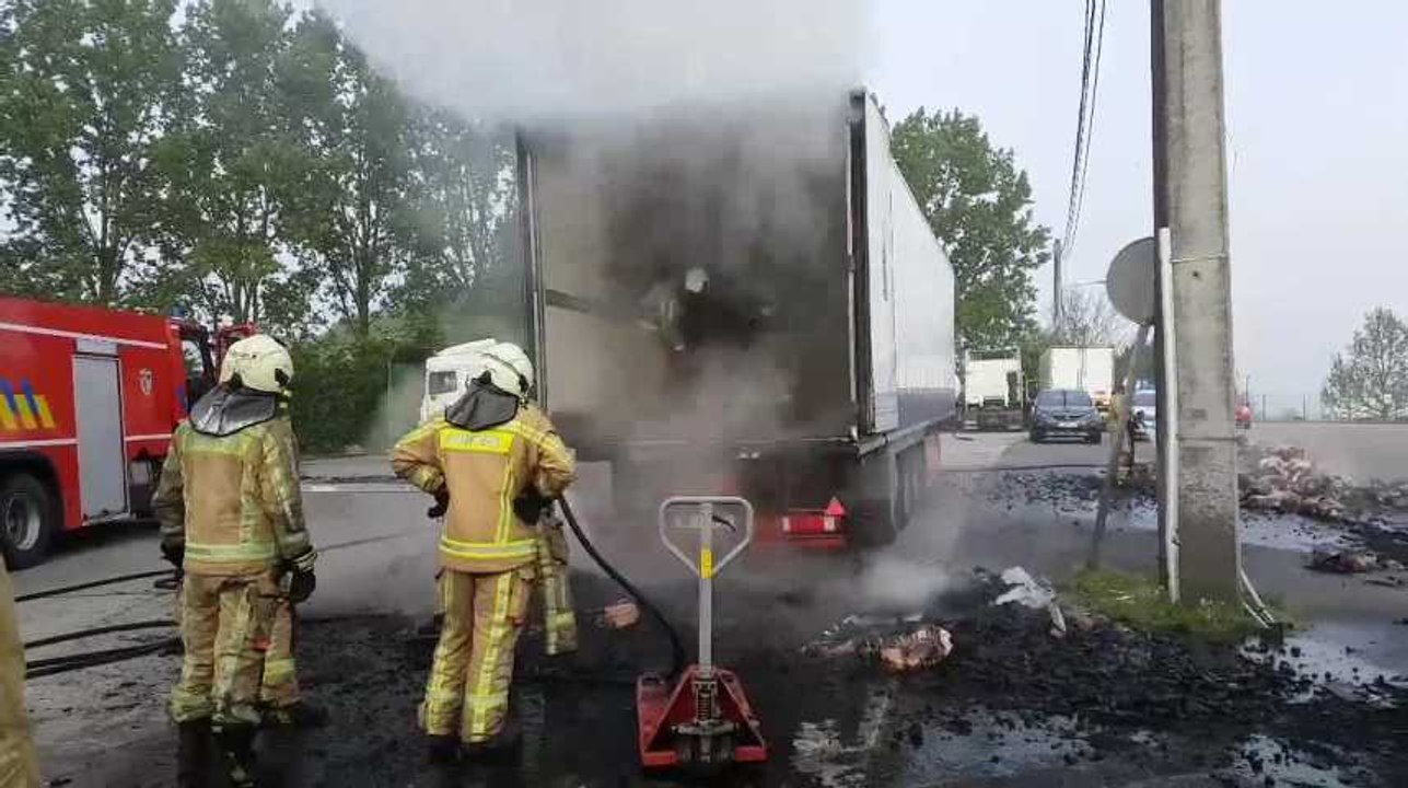 Gosselies, feu de charbons de bois 2, 2/05/2019