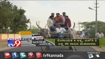 TV9 Bharata Yatre: Koppal Voters Opinion on BJP Karadi Sanganna, Cong Rajashekar Basavaraj Hitnal