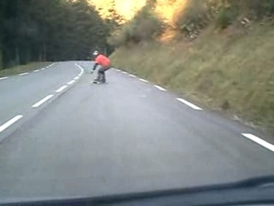 longboard / freebord