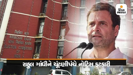 રાહુલને આદિવાસીઓની હત્યા અંગેના નિવેદન માટે ECએ નોટિસ ફટકારી, 48 કલાકમાં જવાબ માગ્યો