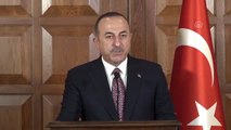 Çavuşoğlu: 