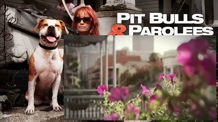 Pit Bulls And Parolees S04E10