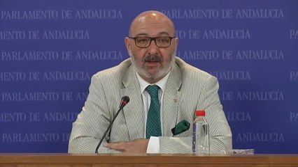 Vox amenaza con romper el pacto de investidura en Andalucía si Casado no pide disculpas por llamarles "extrema derecha"
