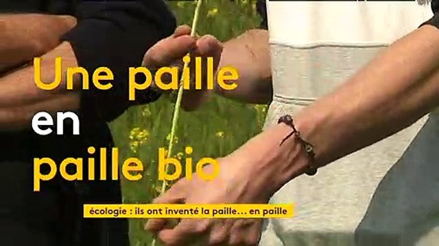 Environnement : des pailles en paille bientôt fabriquées en Normandie