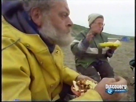 31 - DISCOVERY CHANNEL - PALEOWORLD: DINOSSAUROS NA NEVE