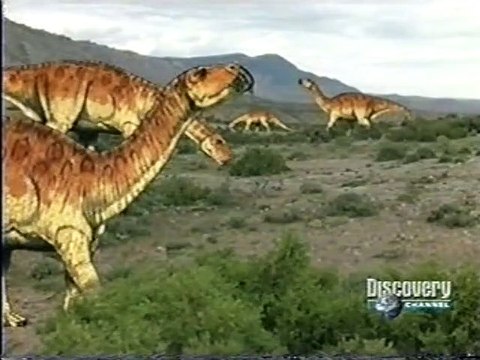 45 - DISCOVERY CHANNEL - PALEOWORLD: RAPTORES ASSASSINOS
