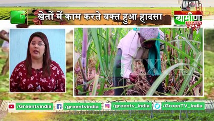 Kisan Bulletin - PepsiCo द्वारा Kisano पर मुक़दमे के बाद किसानो की मांग Seeds पर मिले कानूनी हक़