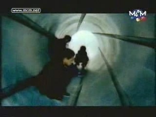 RAGGASONIC - bleu blanc rouge