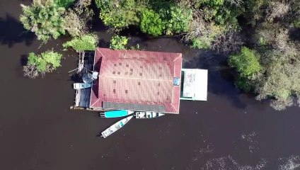 Santuários da biodiversidade mundial ameaçados no Brasil