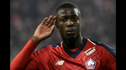Nicolas Pépé, la star de Lille