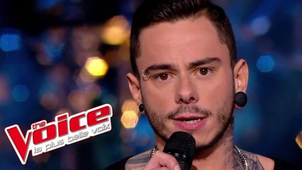 Lara Fabian – Je t’aime | Maximilien Philippe | The Voice France 2014 | Épreuve Ultime