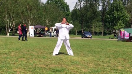 Wudang Qi Qong door Argentina Cotcheza at WTCD | Wereld Tai Chi Dag 2019 in Zwolle the Netherlands