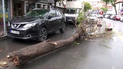 Başkent'te şiddetli rüzgar ağacı devirdi