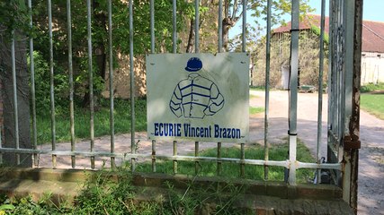 Un entraînement de trot attelé avec Vincent Brazon