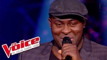 Cher – Believe | Wesley | The Voice France 2014 | Épreuve Ultime