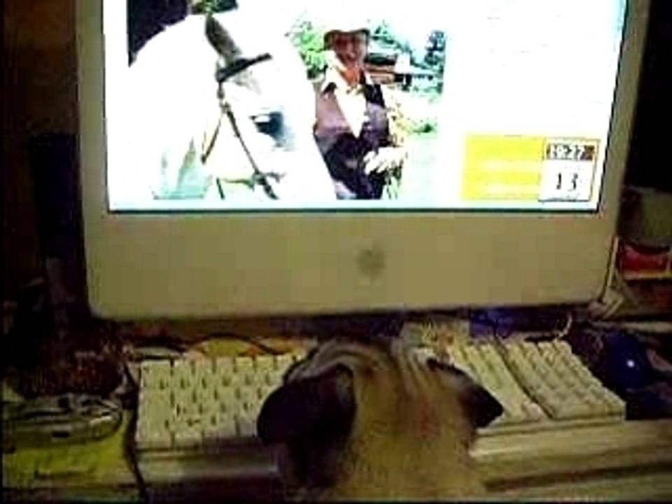 aime regarde la tele
