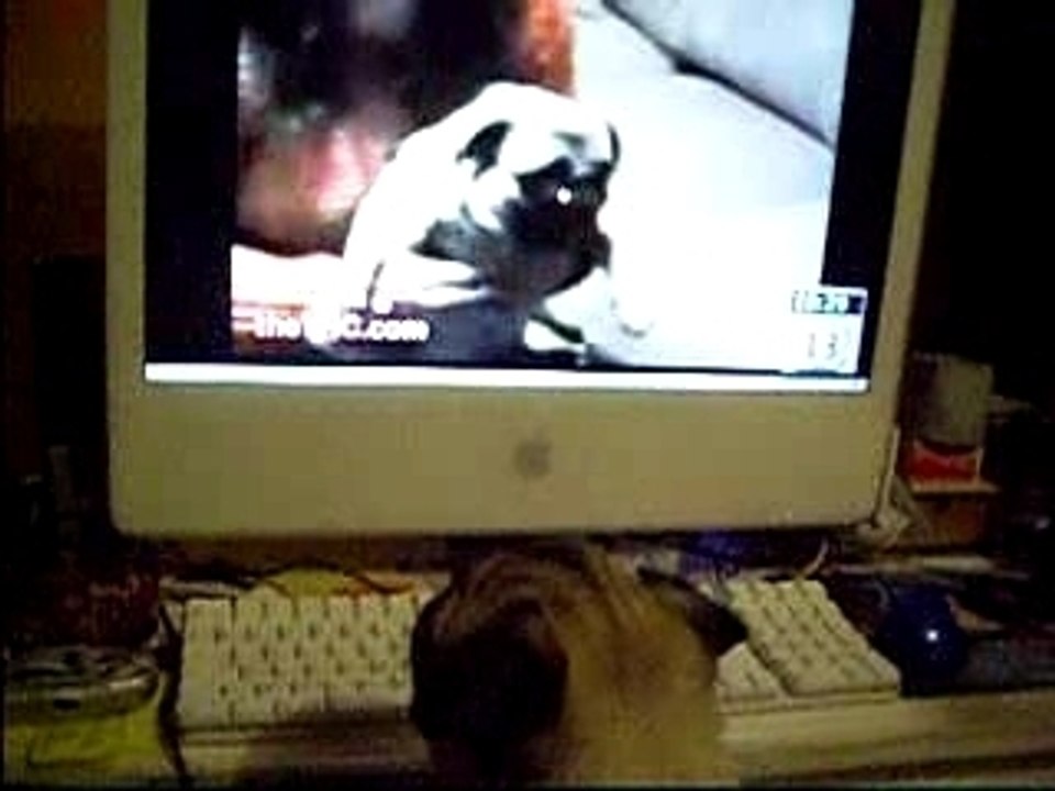 regarde la tele