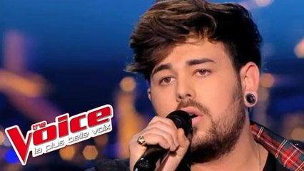 Véronique Sanson – Amoureuse | Lioan | The Voice France 2014 | Épreuve Ultime