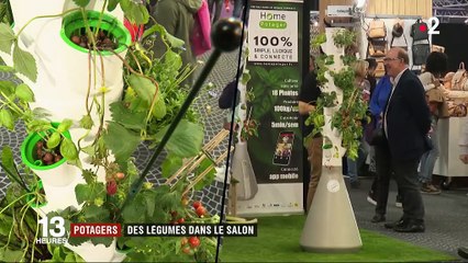 Tendance : des potagers d'intérieur pour les citadins