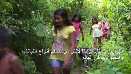 التعديات على الأنظمة البيئية في البرازيل تهدد التنوع البيولوجي