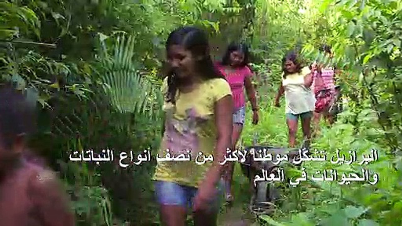 التعديات على الأنظمة البيئية في البرازيل تهدد التنوع البيولوجي