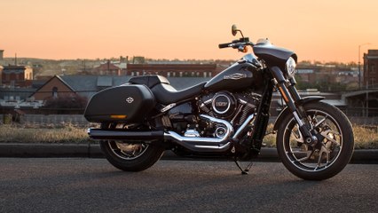 Harley-Davidson Sport Glide: Der vielseitige Cruiser für entspannte Touren & rasante Kurven 🏍️