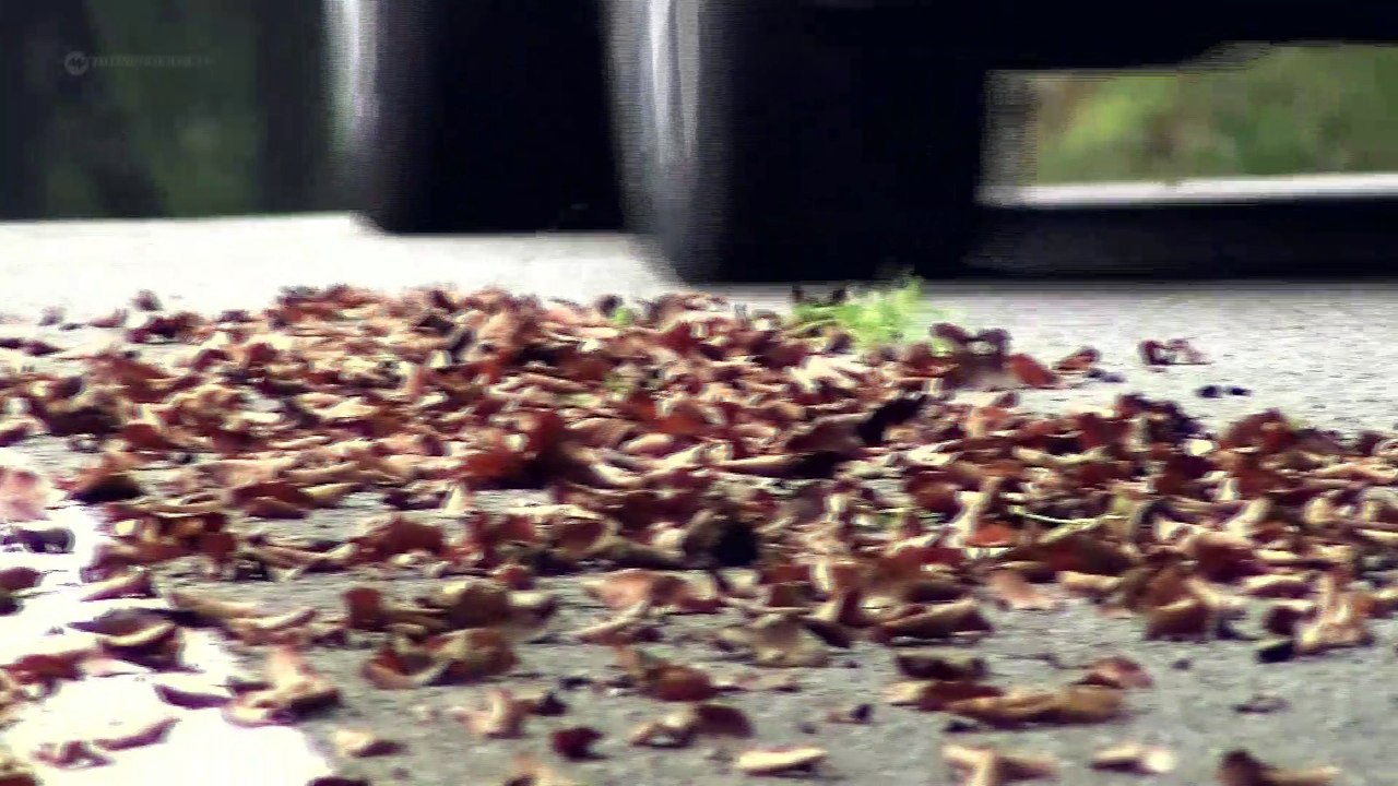 Rolls Royce Wraith: Der Rolls für den selbst fahrenden Superreichen