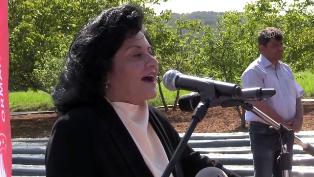 'Vali Hanım' çileği üreticinin yüzünü güldürüyor - MUĞLA