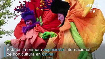 China muestra el poder de sus flores