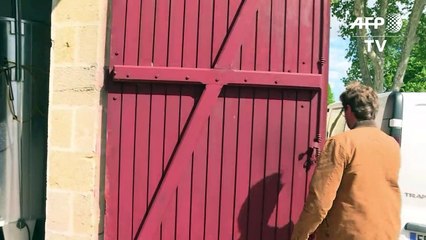 Un viticulteur crée le vin de "Game of Thrones"