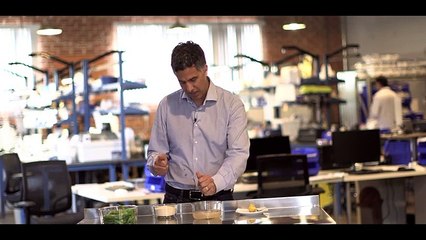 Inside The Production Of Beyond Meat's Plant-Based Foods