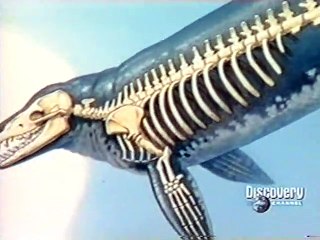 3 - DISCOVERY CHANNEL - PALEOWORLD: O REGRESSO AOS MARES