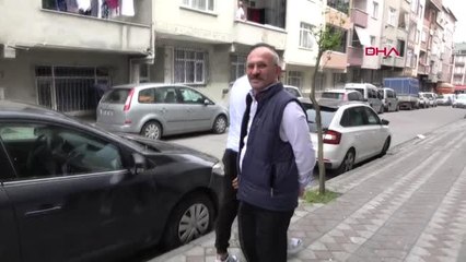 Sultangazi'de Arı Saldırısı Paniği